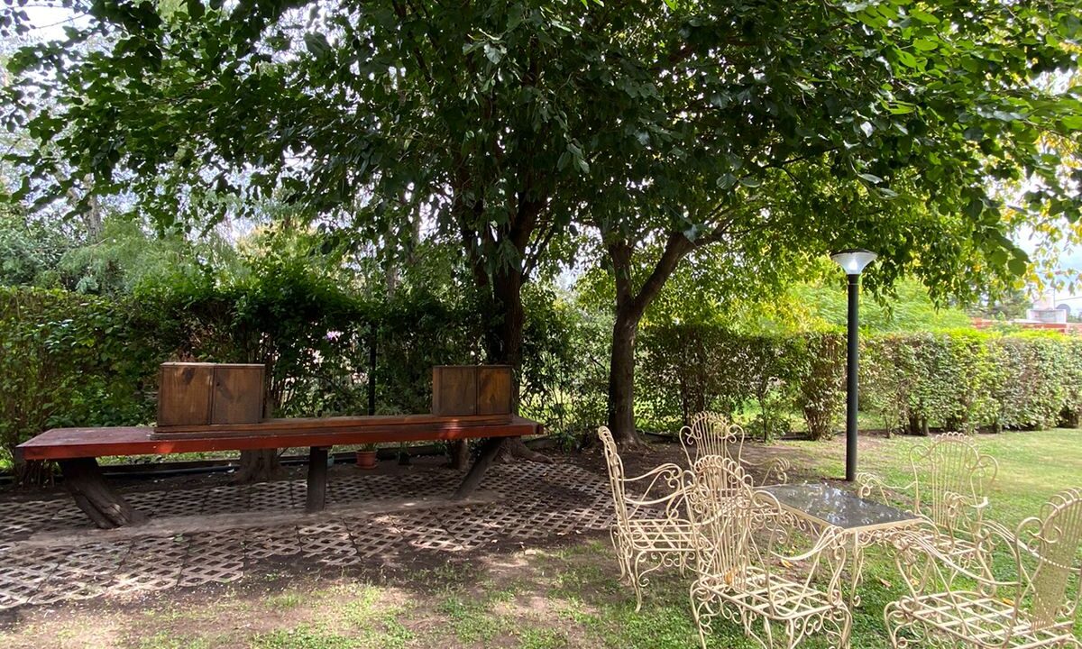 Mesa bajo los arboles