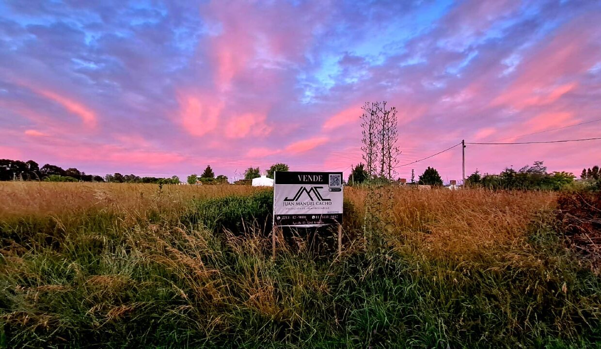 51c33543-8c56-4816-806e-e9fc90468a0b