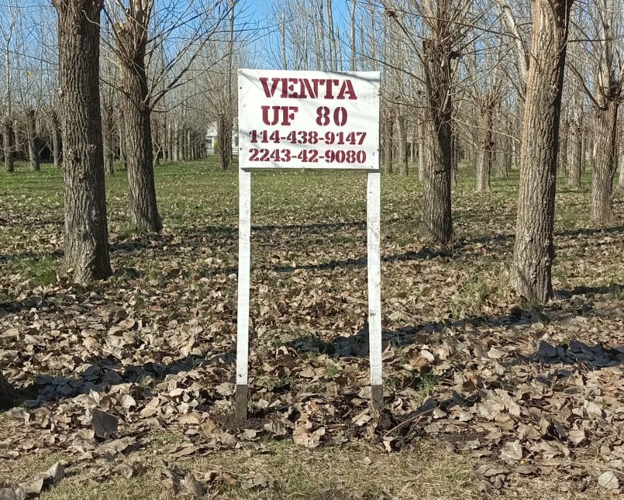 eb096f76-76d7-42da-b616-856f0875e70a