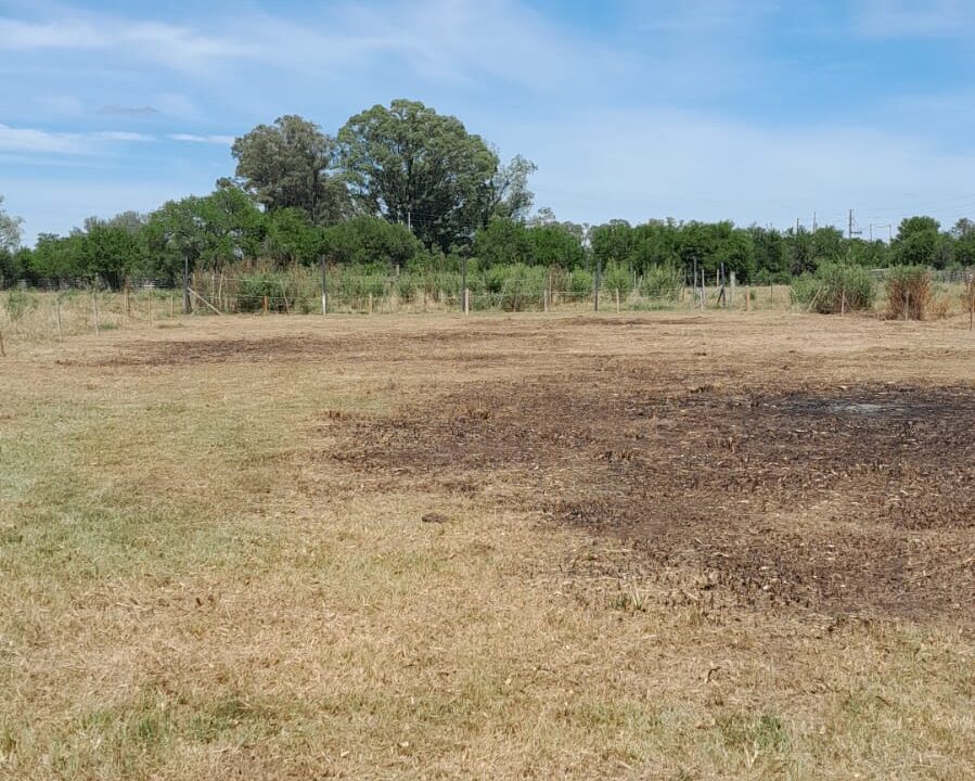 WhatsApp Image 2024-03-22 at 5.47.24 PM