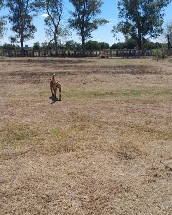 WhatsApp Image 2024-03-22 at 5.51.27 PM