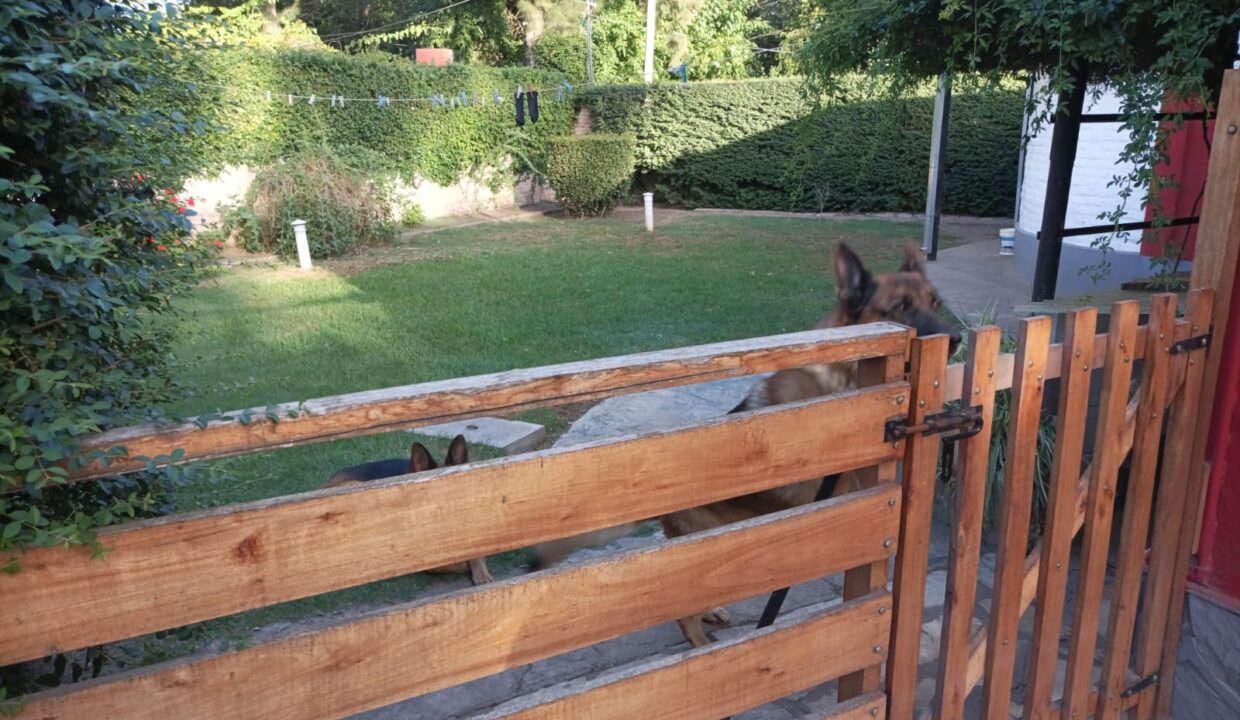 canil y empalizadas2