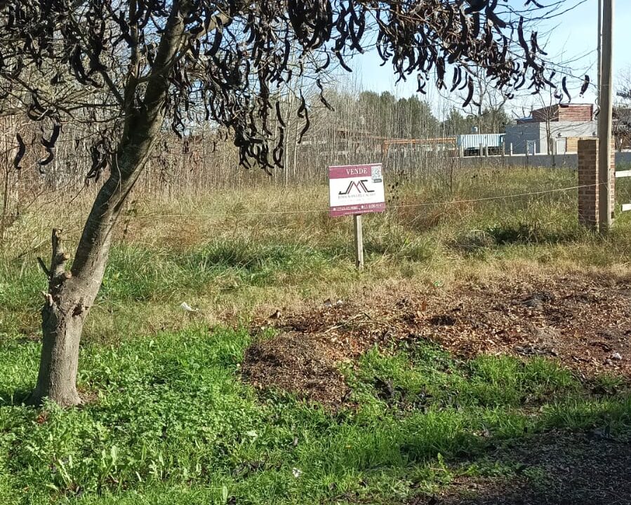 557c088f-d1ff-4100-abfd-7c290e0f9fef