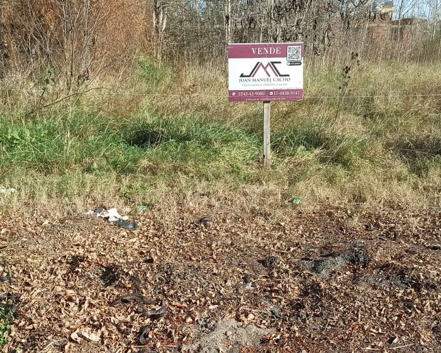 5f007fdf-d1b0-4a9c-9588-ae5db546090f