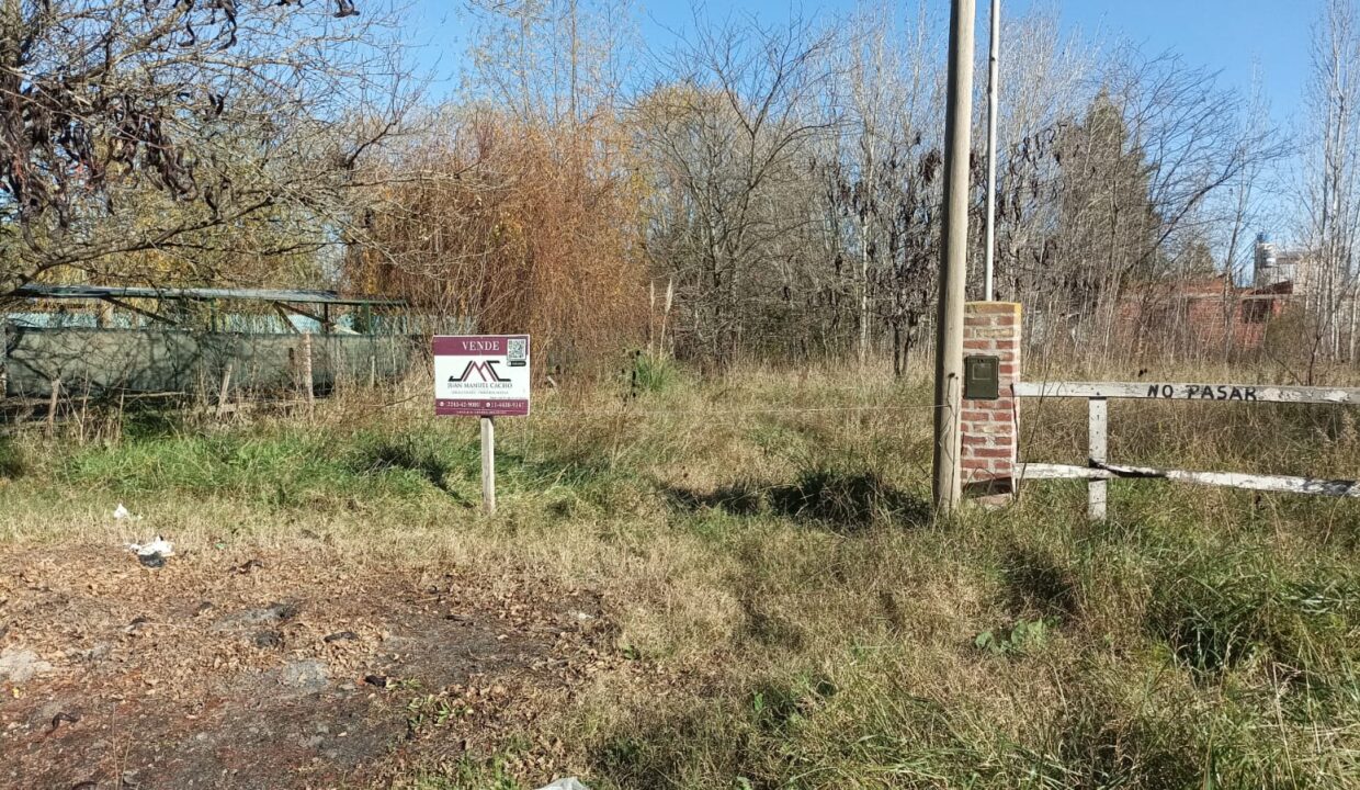 e2a8cd69-c6fe-495d-82cf-6bacb08c64d5